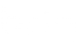 briq-logo-white